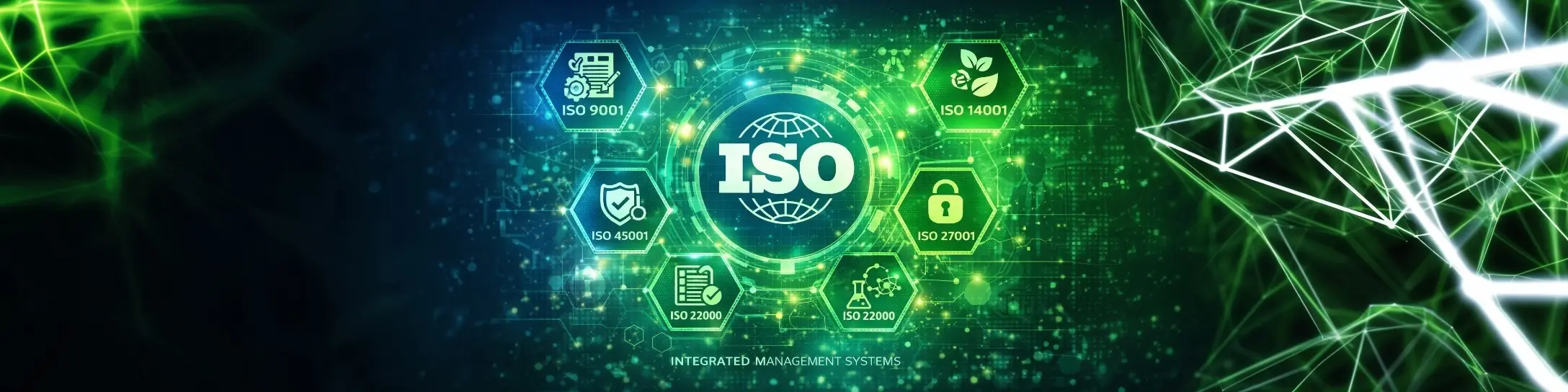 Yönetim Sistemleri, Eğitim ve Denetim Desteği